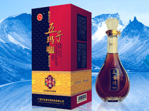 �V���t�긣����Ƽ����޹�˾