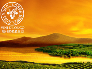 �㽭¡�ƾƘI(y��)���޹�˾