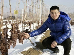 �|���Ҹ�С�r(n��ng)����̄�(w��)���޹�˾