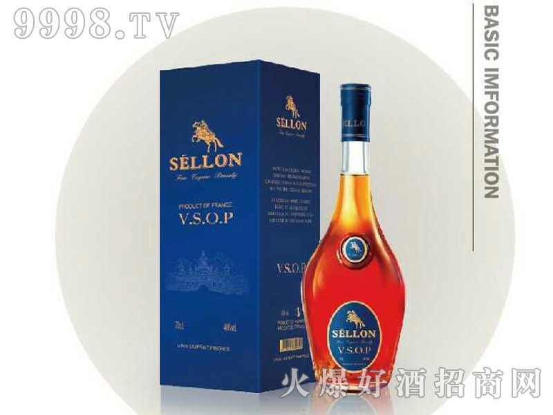 ����VSOP���m��