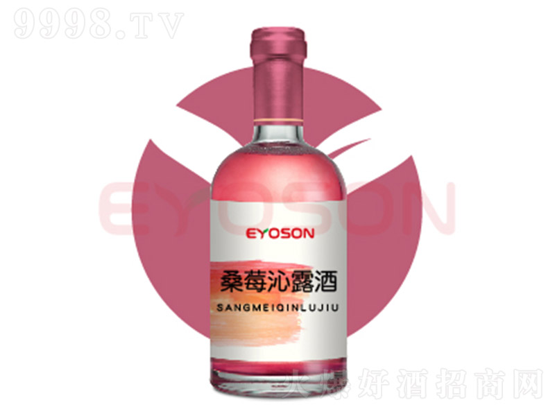 һ�(y��ng)��ɣݮ��¶�ơ�500ml��