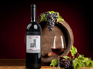 ���Ğt�R�ƘI(y��)���޹�˾