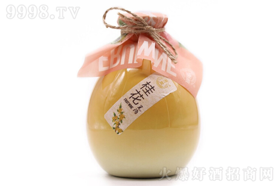 6����һ�ҹ�ζ������500ml�r�񣬶����X��