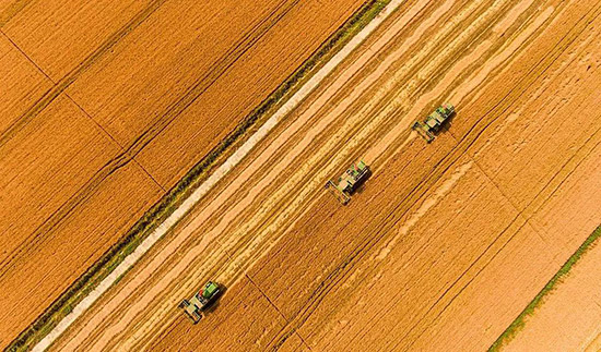 �ž�ؕ��2022�´��_(k��i)ᄣ�